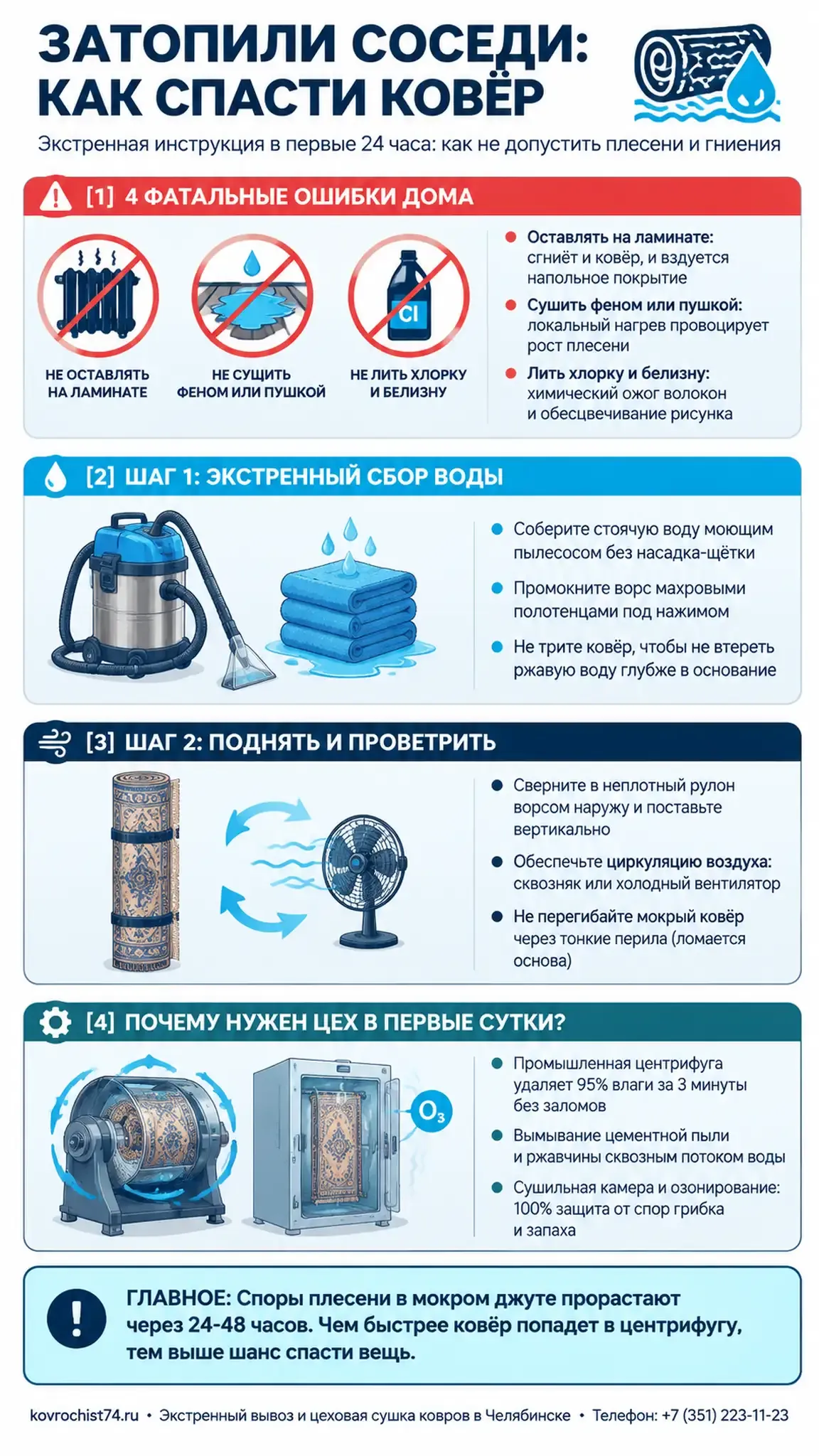 Инфографика: спасение ковра после затопления за 24 часа
